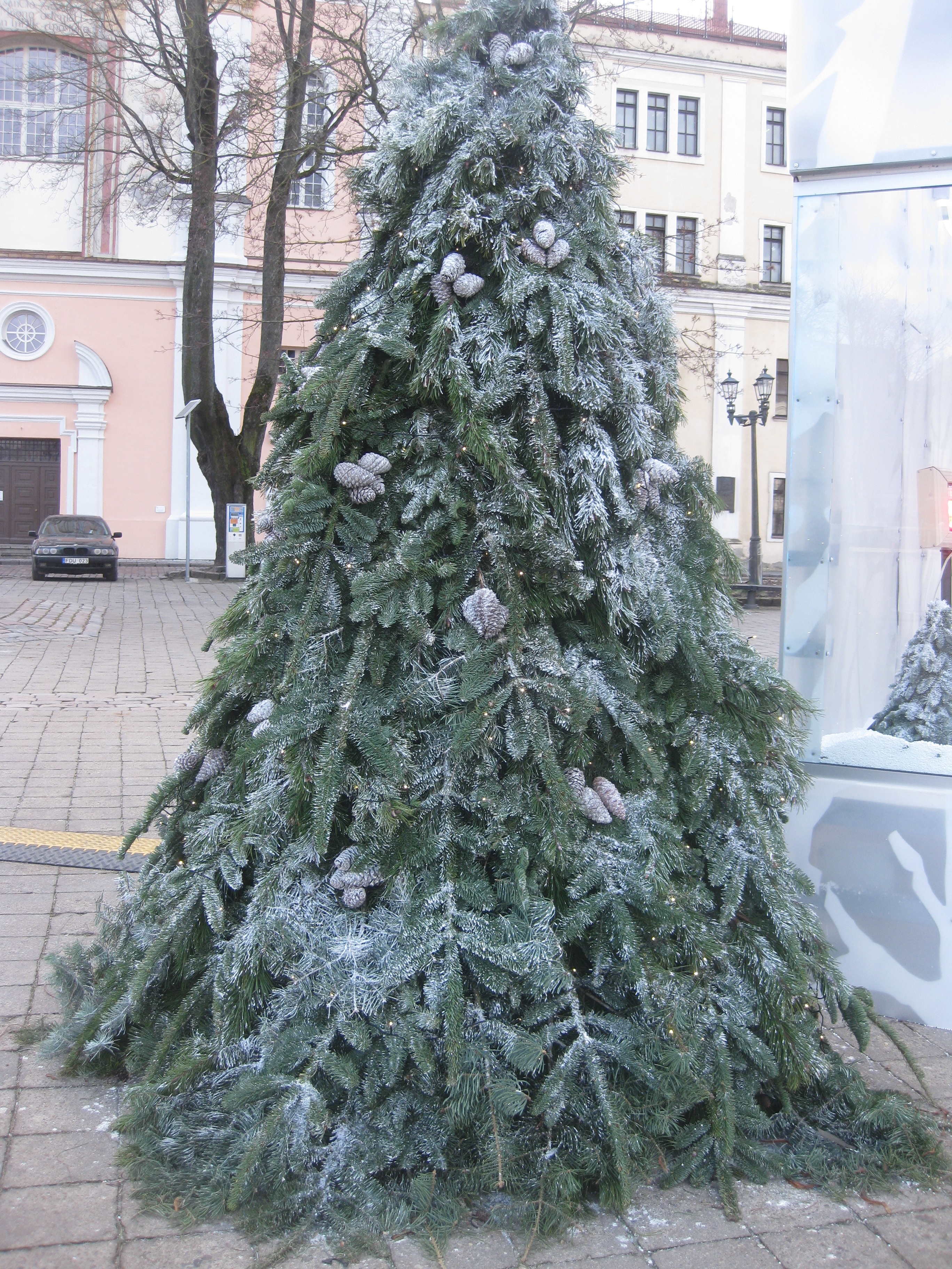 Kalėdinė eglutė Kauno rotušės aikštėje | © Laima | www.ltvirtove.lt