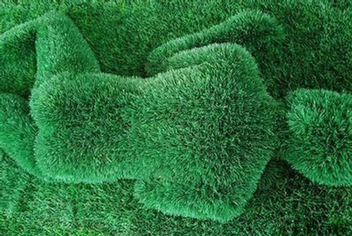 Žaliosios skulptūros :: Augalų skulptūros