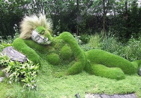 Žaliosios skulptūros :: Augalų skulptūros