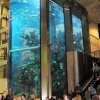 Didžiausias ir aukščiausias akvariumas Lietuvoje :: MEGA akvariumas
