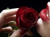 Rožės :: Rosa :: Gėlės mūsų gyvenime