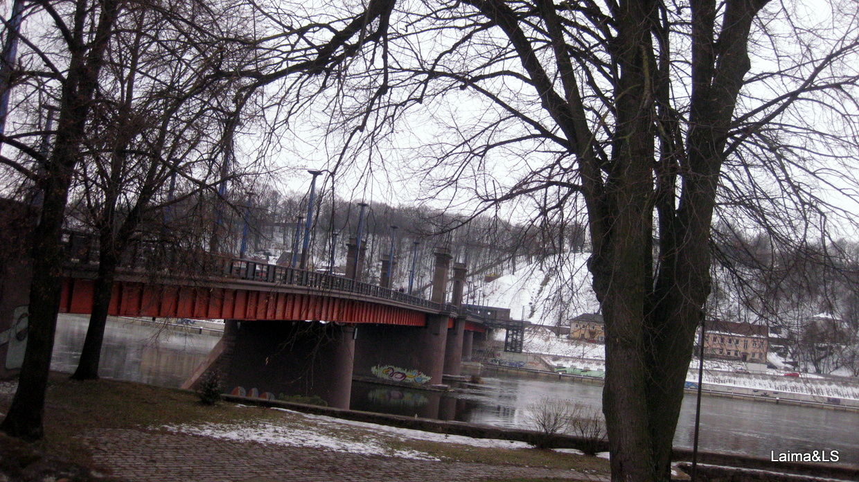 Vytauto Didžiojo tiltas :: Aleksoto tiltas :: Tiltai per Nemuną | Autorius: Laima 