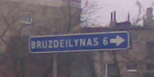 Bruzdeilynas | Įdomiausi Lietuvos pavadinimai