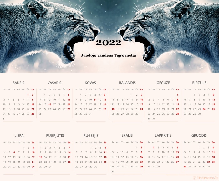 Kalendorius 2022-iesiems metams