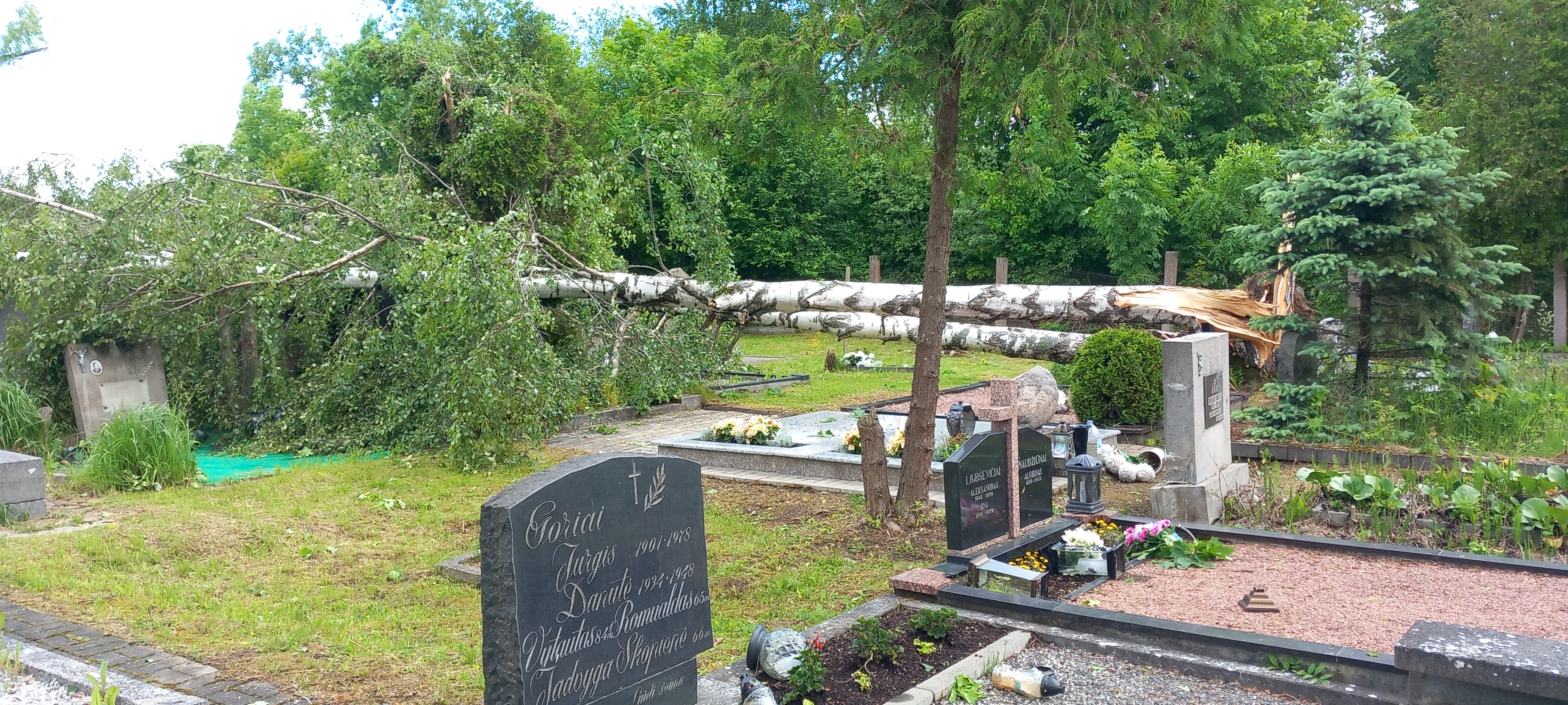 Seniavos kapinės po stiprios audros Kaune. 2026‑06‑05
