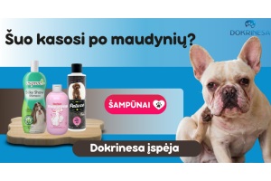 Šuo kasosi po maudynių? „Dokrinesa“ specialistai įspėja, kad kaltas gali būti ne maistas